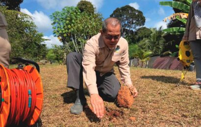 சேகாமட் பண்ணை நிலத்தில் பிளவுகள்: காரணம் கண்டறிய நிபுணர்கள் ஆய்வு
