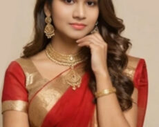 சுவை ,சுத்தம் ,தர மேலாண்மை லலிதா தியாகராஜன் – உலகில் வெற்றி வரலாறு படைக்கும் திறமையான தொழில்முனைவோர் Lita Success Resources – Function, Wholesale Dessert Specialist & Retail Sales